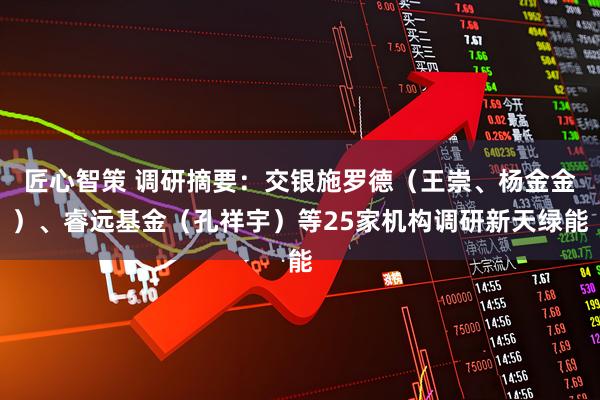 匠心智策 调研摘要：交银施罗德（王崇、杨金金）、睿远基金（孔祥宇）等25家机构调研新天绿能